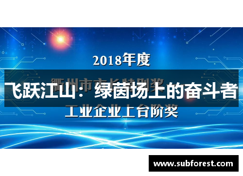 飞跃江山：绿茵场上的奋斗者