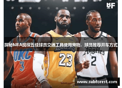 探秘NBA现役五佳球员交通工具使用宠物，球员推荐开车方式